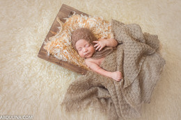 Fotografen von Neugeborenen / ***