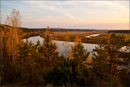 Birken und Kiefern, ruhiger eindringlichen Herbst .. / ***