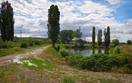 Ländliche Teich. / ***