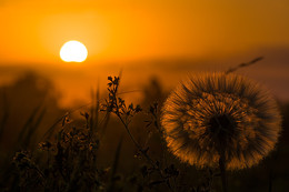 Sehen Sie die Sonne Licht. / ***