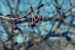 Der Sinn des Lebens -, um hinter einem Leben zu verlassen / ***