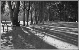 Winterwanderung / ***