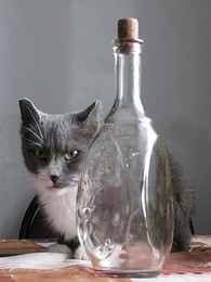 Mit Vorwurf ... / ***