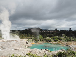 Kreuz und Quer / Te Puia, New Zealand