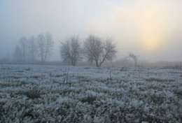 Frosty Morgenröte / ***