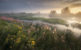 * Stille * Morgenröte / ***