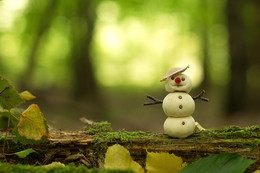 Sommer-Schneemann- / ***