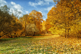 Herbst im Park / ***