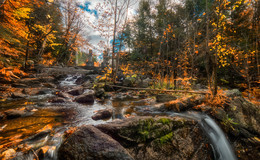 The Carbide Wilson Ruins / Gatineau Park QB