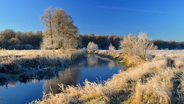 Goldener Herbst / ***