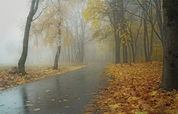 Im Herbst Park / ***