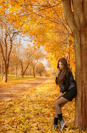 Goldener Herbst / ***