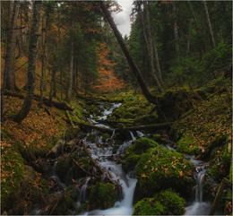Herbst Creek / ***