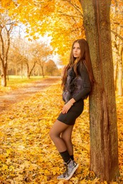 Herbst / ***