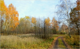 für die Herbststraße / ***