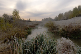 Nebel, Frost. / ***