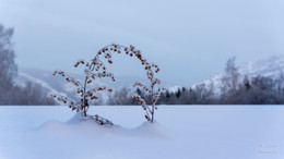 Ein Wintermärchen / ***