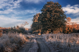 Frosty Spur. / ***