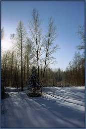 Nun, endlich kam der Winter !! / ***