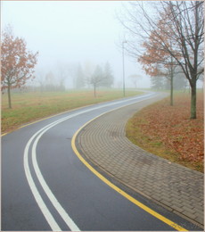 Schicksalslinien / ***