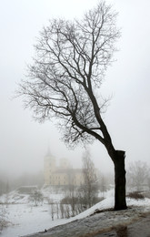 Nebel / ***