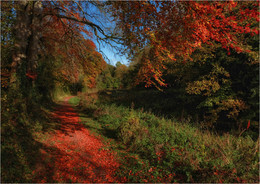 ... Herbst Wege II ... / ***