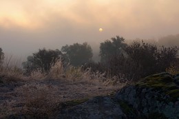 Misty Morgengrauen. / ***