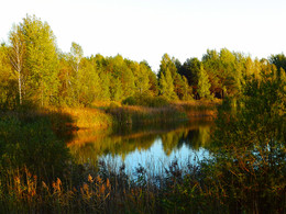 Am Waldsee / ***