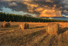 Abenddämmerung / ***