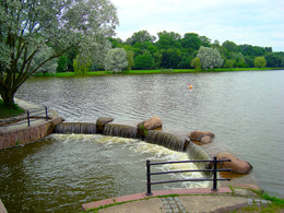 Spazieren Sie durch den Park Nesvizh / ***