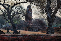 Nebligen Morgen in Ayutthaya / ***