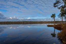 Herbst Reflexion ... / ***