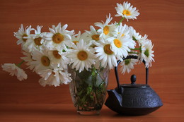 verzeihen Wasserkocher !!!!!!! / ***