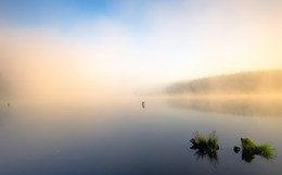 Morgendämmerung, Nebel / ***