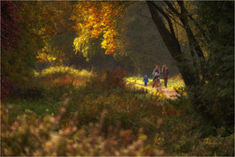 ... Herbst Trails III ... / ***