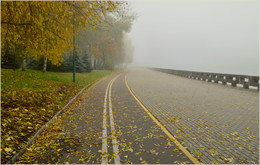 im Herbstnebel / ***