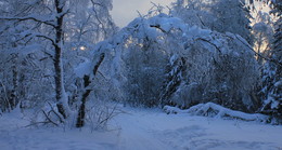 Ein Wintermärchen / ***