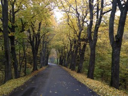 Im Herbst road ... / ***