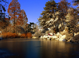 Frost und Sonne - ein wunderschöner Tag / ***