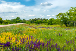 Der Weg in die Steppe / ***