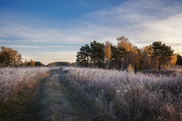 Morgenfrost. / ***