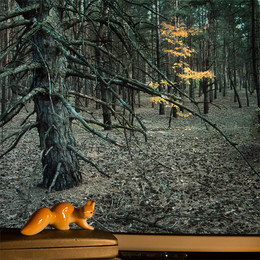 Eichhörnchen will den Wald / [img]http://s020.radikal.ru/i707/1512/bd/248a0a62dfd7.jpg[/img]
