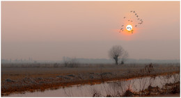 Silence I / Ochsenmoor, Diepholz, Norddeutschland