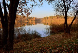 Spaziergang entlang der Küste des Herbst / ***