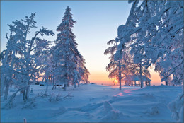 Belogorsk Winter / ***