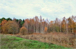 Herbstfarben / ***