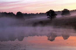 Morgendämmerung, Nebel / ***