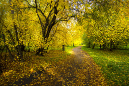 Herbst-Park / ***