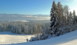 Winterlandschaft / ***