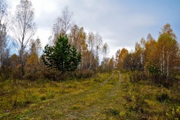 Herbst- Skizze. / ***